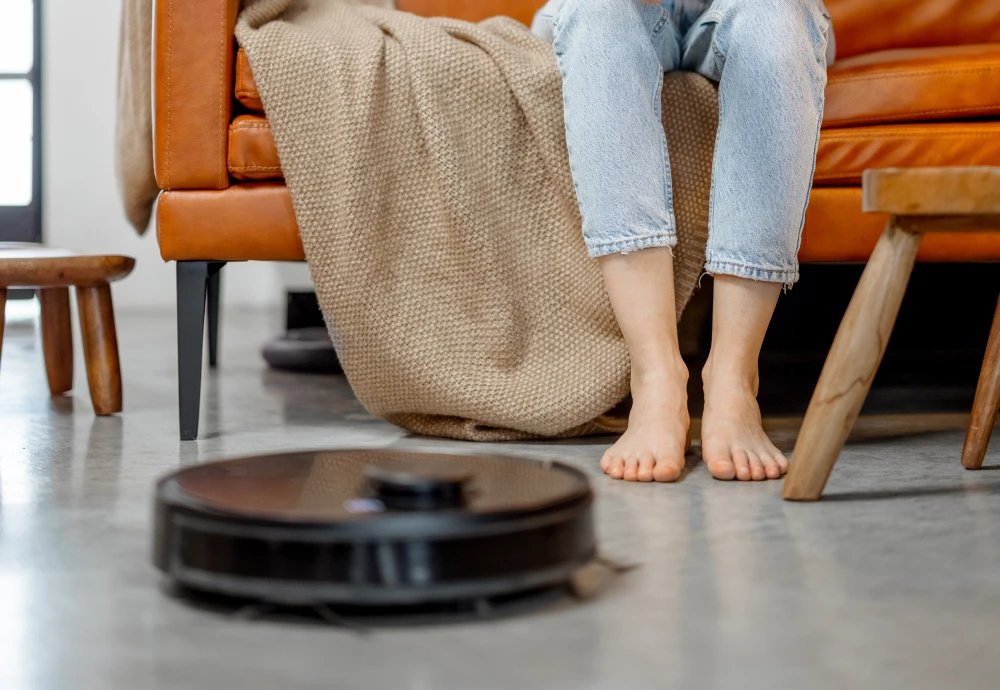 cleaning robot vacuum and mop